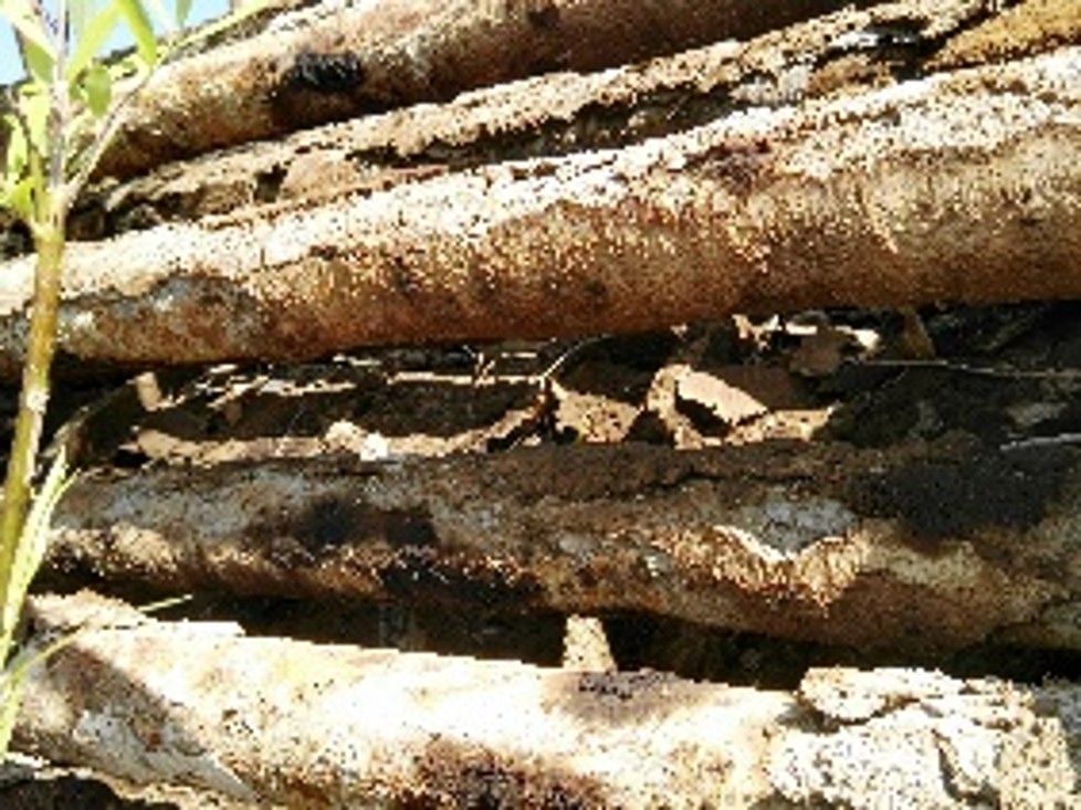 Heizrohre vor der WEHA Anwendung mit starken Ablagerungen